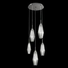 Hammerton CHB0049-05-GP-RS-C01-L3 - Aalto Round 5pc Multi-Pendant