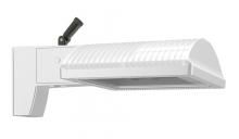 Flood Lights
