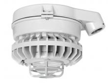 LED Lamps