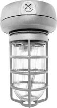 Cage Flush Mounts