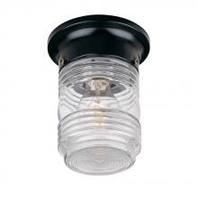 Acclaim Lighting 101BK - Ceiling-Mount 1-Light Outdoor Matte Black Light Fixture