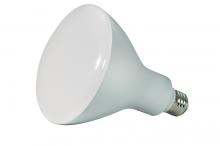 Light Bulbs